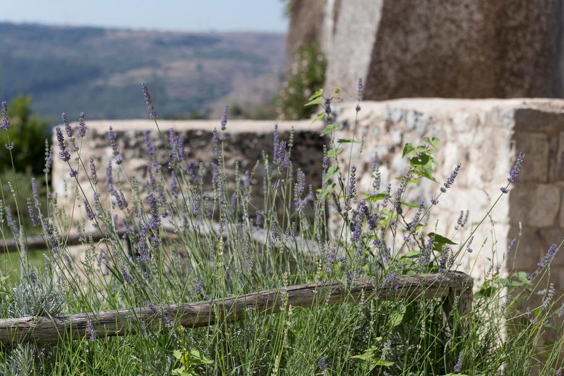 Antico Convento Dei Cappuccini Otel Ragusa Dış mekan fotoğraf